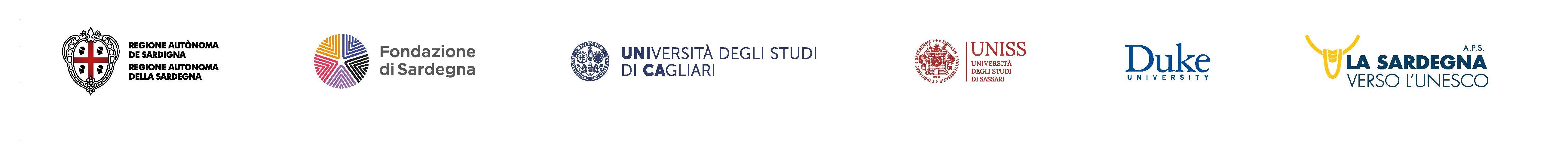 Institutional partners